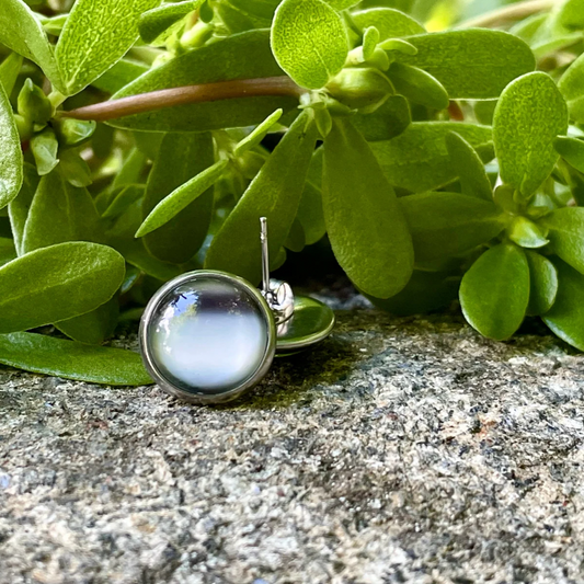 Clous d’oreilles black and white